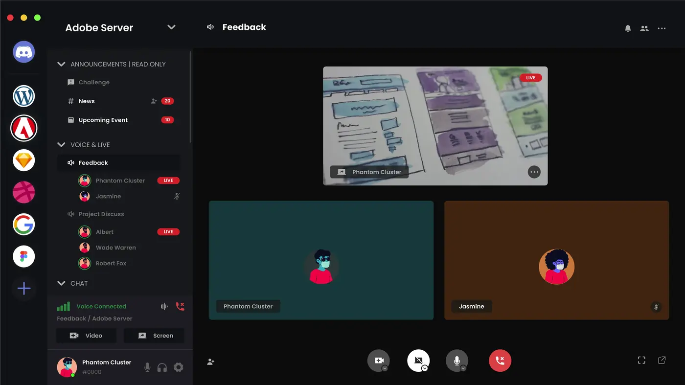 Discord Screen Share View